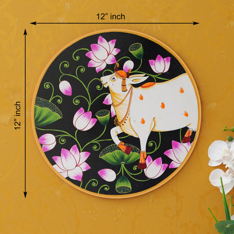 Chitran Product Photography